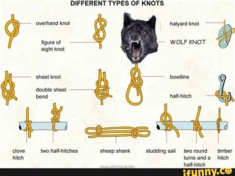 wolf knot